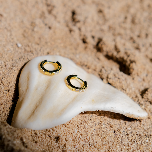 Terra Huggie Aretes