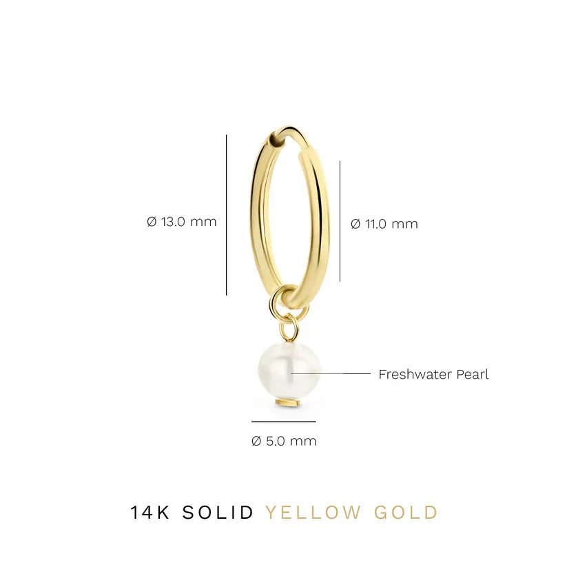 Delia Crest Aretes | Oro