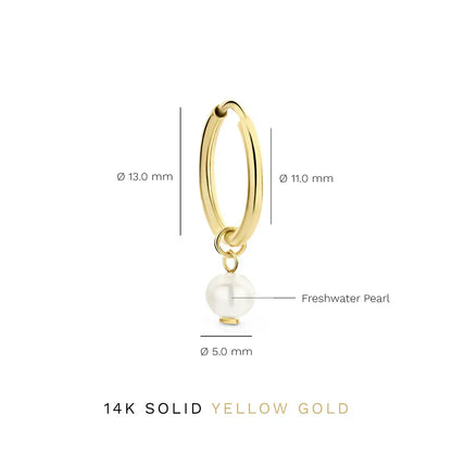 Delia Crest Aretes | Oro