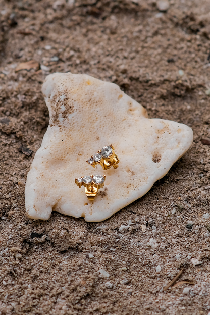 Lira Oro Aretes