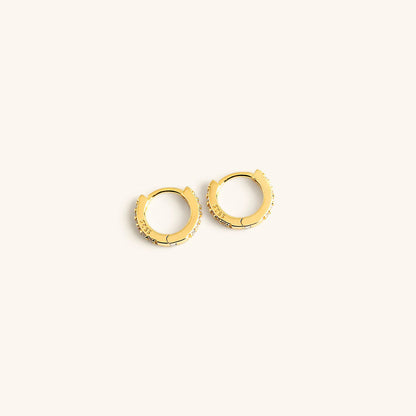 Terra Huggie Aretes