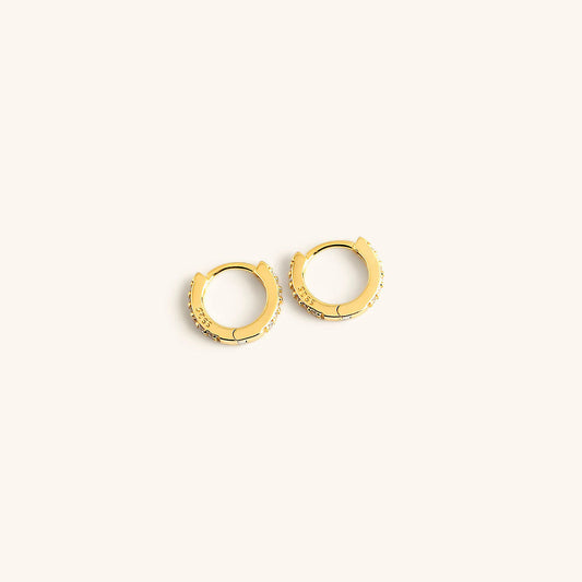 Terra Huggie Aretes