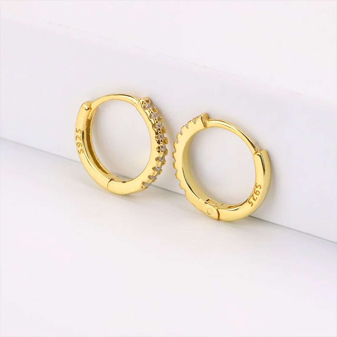 Terra Huggie Aretes